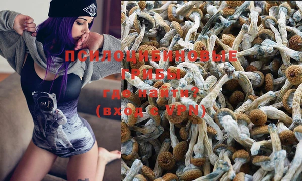 амф Магас