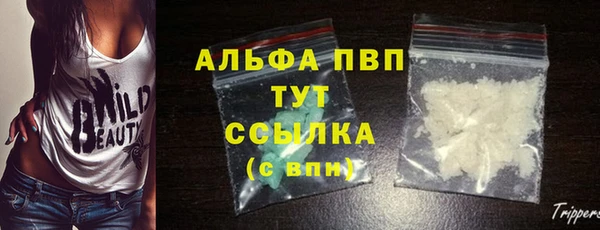 амф Магас