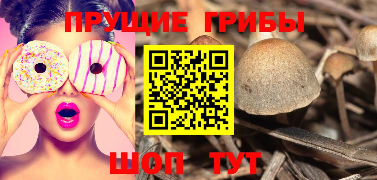 Галлюциногенные грибы ЛСД  Тюмень  Галлюциногенные грибы GOLDEN TEACHER 