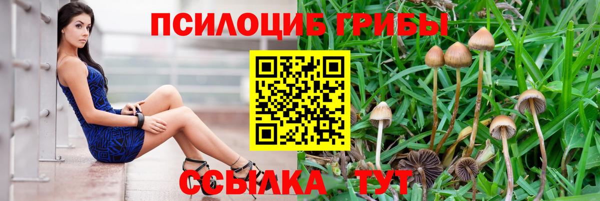 Тюмень  Галлюциногенные грибы Psilocybine cubensis  Вход с VPN 