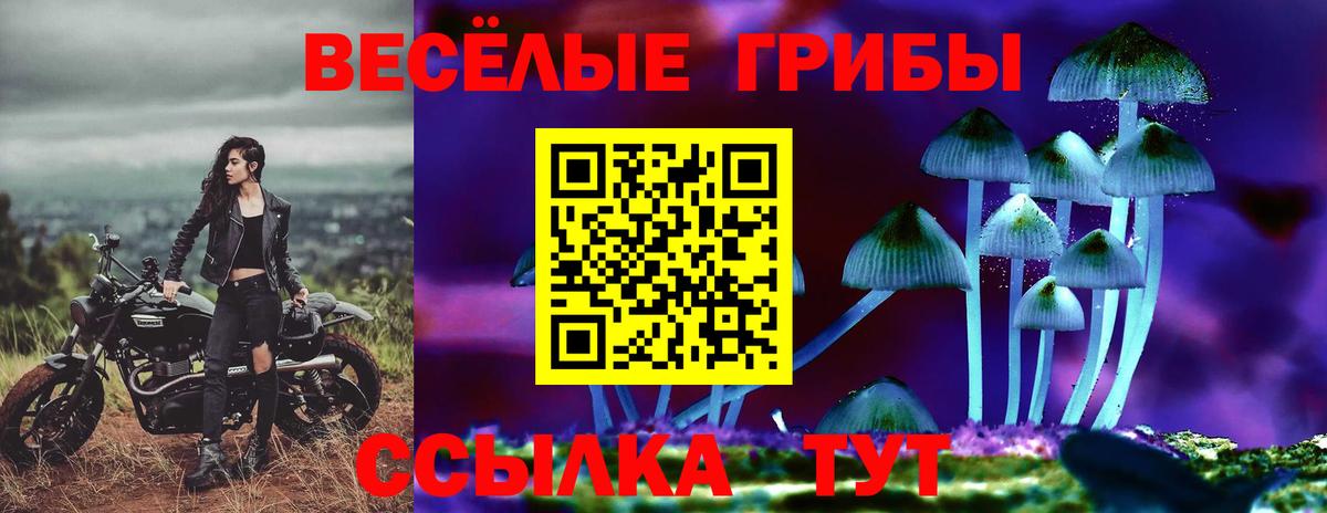 Псилоцибиновые грибы прущие грибы Тюмень