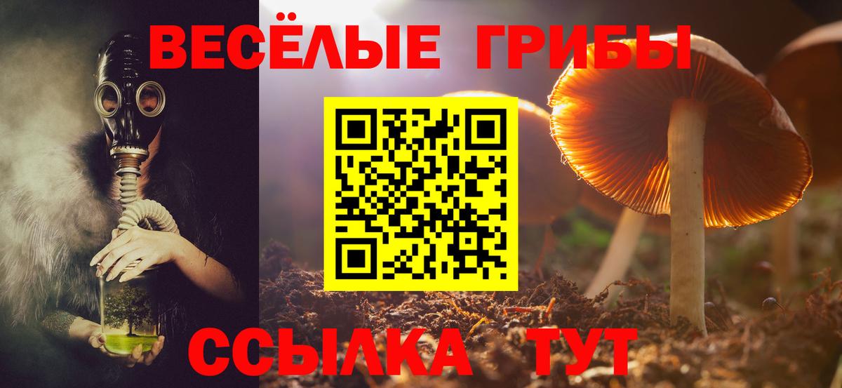 Псилоцибиновые грибы Psilocybine cubensis Тюмень